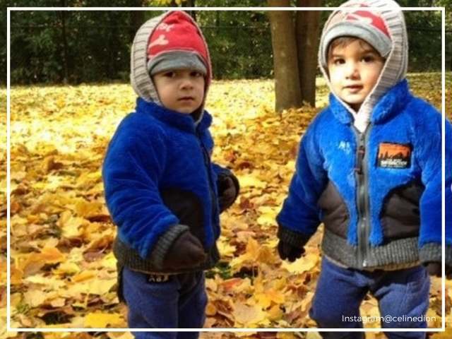 Celine Dion shared a picture of her twin sons