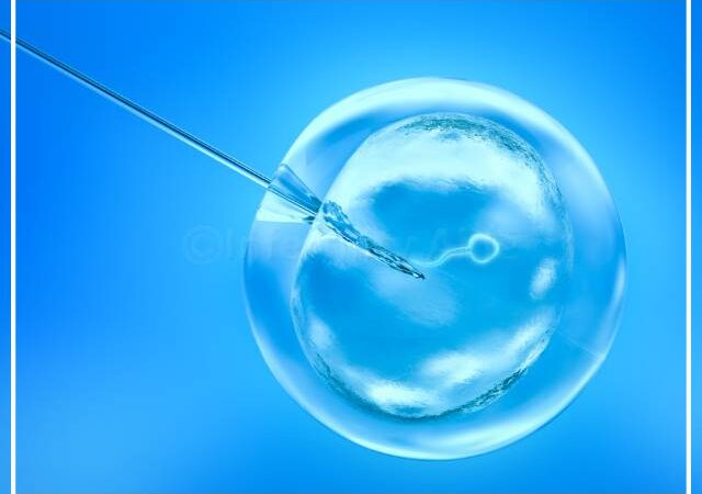 Fertilization of immature eggs in IVF