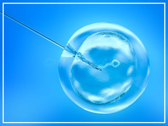 Fertilization of immature eggs in IVF