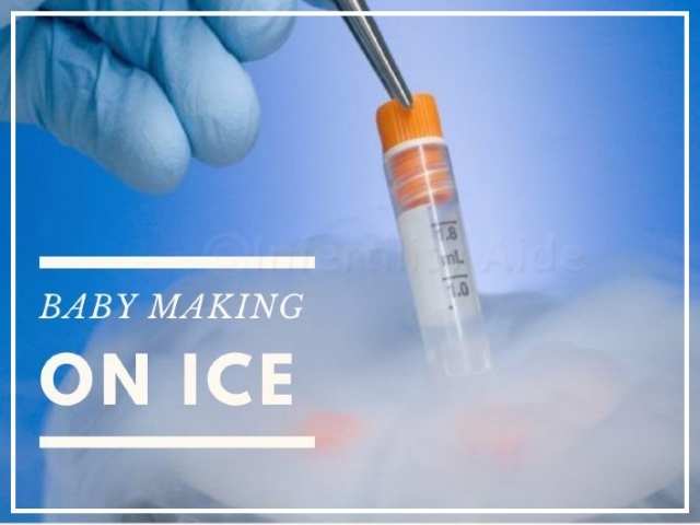 Oocyte cryopreservation cost