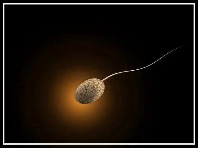 Intra cytoplasmic sperm injection