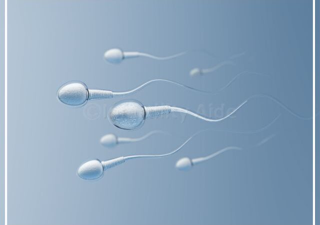 How to improve your sperm count and motility