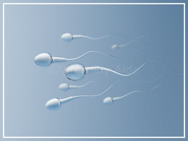 How to improve your sperm count and motility