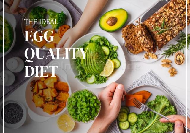 Egg quality diet